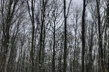 IMG_6309_Léger 3
