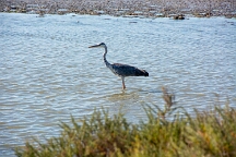 DSC_0105 - copie
