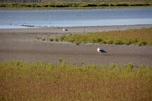 DSC_0123 - copie