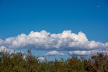 DSC_0175 Camargue