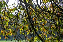 DSC_0031
