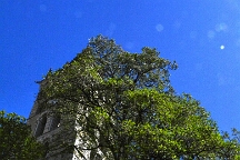 Gap 16