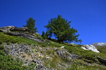 Lac Lacroix18