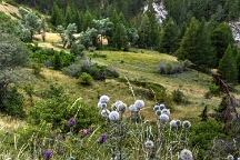 Le Lombard2