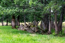 00106-1 Le Cantal