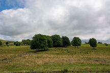 00172-1 Le Cantal