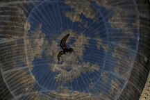 dsc_0052_equilibr